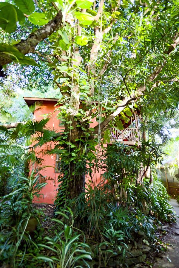 Posada Arco Iris, 西区 外观 照片